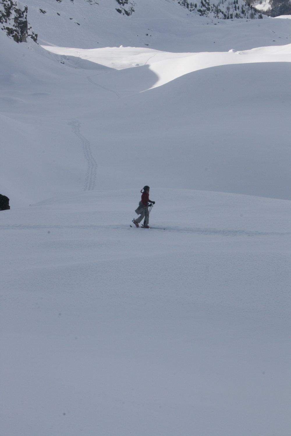 Albergo Alpenrose Ski&Bike Mountain Hotel Gressoney-Saint-Jean Luaran gambar