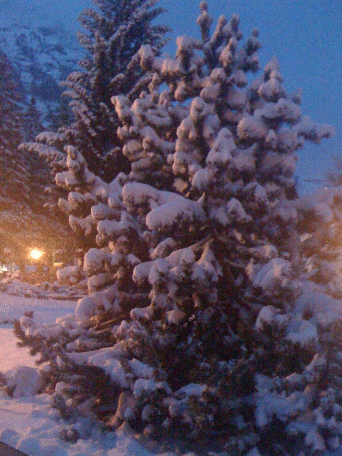 Albergo Alpenrose Ski&Bike Mountain Hotel Gressoney-Saint-Jean Luaran gambar