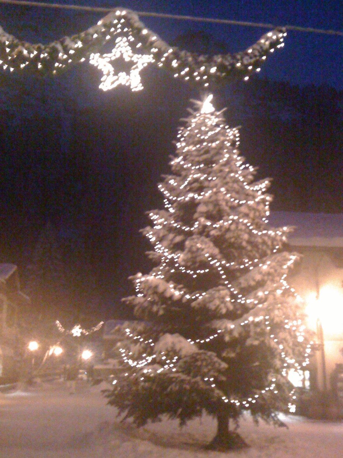 Albergo Alpenrose Ski&Bike Mountain Hotel Gressoney-Saint-Jean Luaran gambar