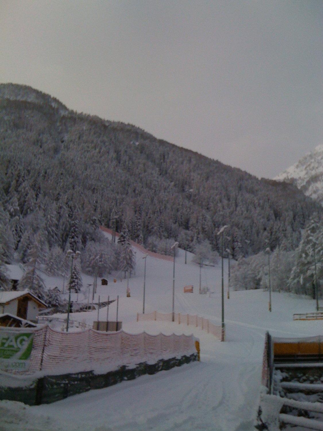 Albergo Alpenrose Ski&Bike Mountain Hotel Gressoney-Saint-Jean Luaran gambar