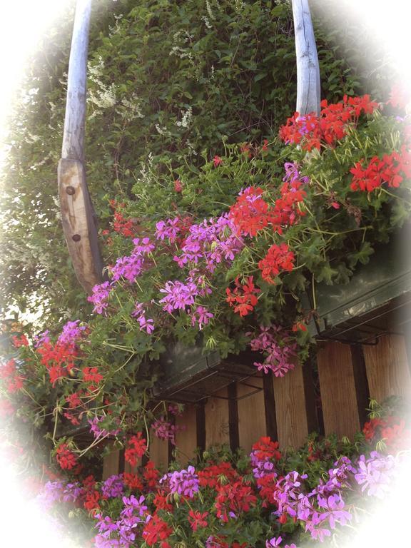 Albergo Alpenrose Ski&Bike Mountain Hotel Gressoney-Saint-Jean Luaran gambar