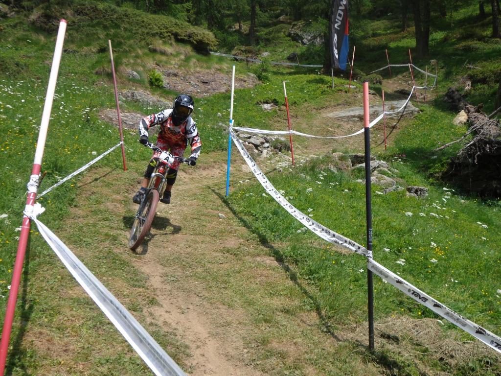 Albergo Alpenrose Ski&Bike Mountain Hotel Gressoney-Saint-Jean Luaran gambar
