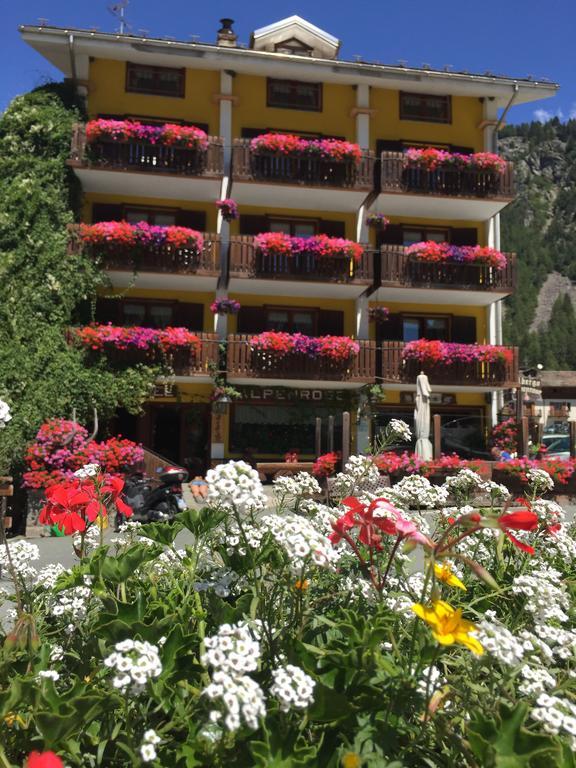 Albergo Alpenrose Ski&Bike Mountain Hotel Gressoney-Saint-Jean Luaran gambar
