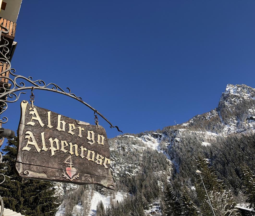Albergo Alpenrose Ski&Bike Mountain Hotel Gressoney-Saint-Jean Luaran gambar