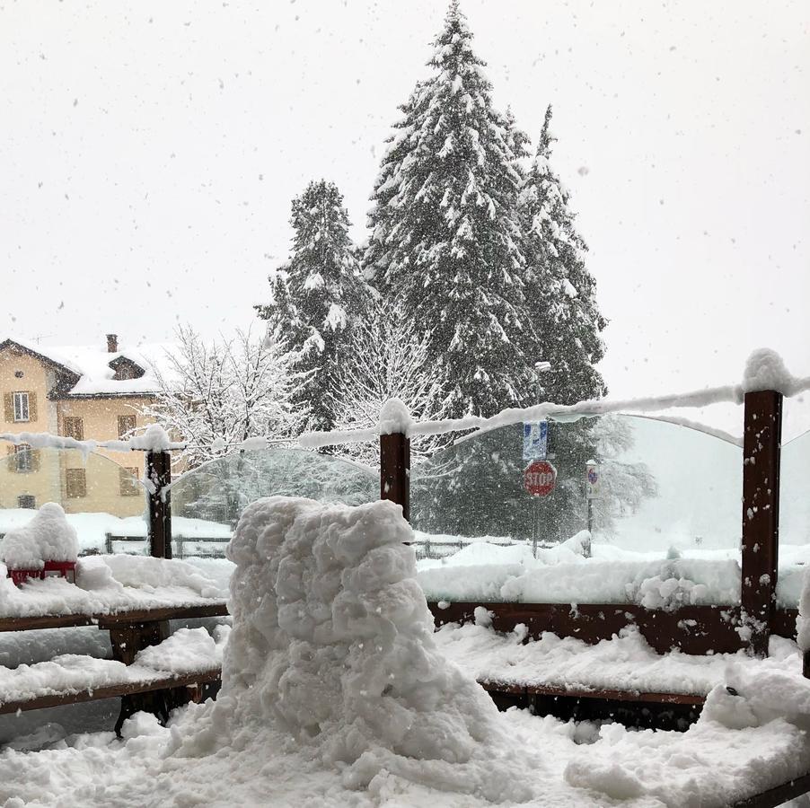 Albergo Alpenrose Ski&Bike Mountain Hotel Gressoney-Saint-Jean Luaran gambar