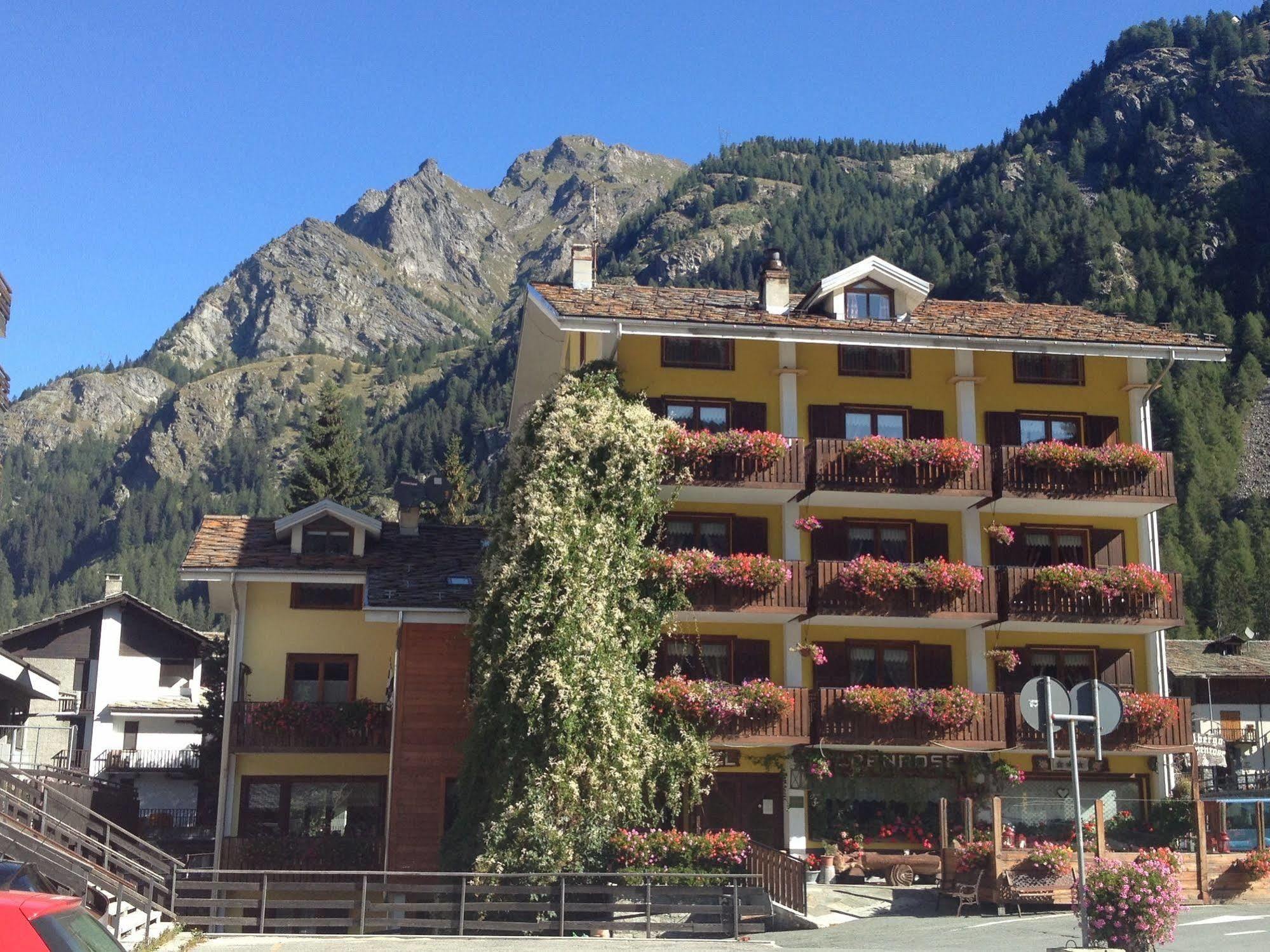 Albergo Alpenrose Ski&Bike Mountain Hotel Gressoney-Saint-Jean Luaran gambar