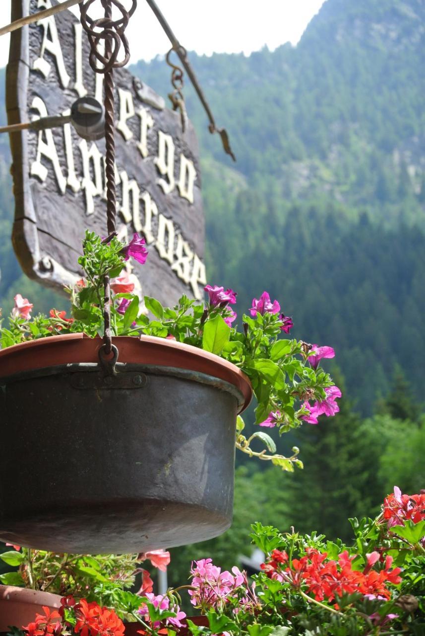 Albergo Alpenrose Ski&Bike Mountain Hotel Gressoney-Saint-Jean Luaran gambar