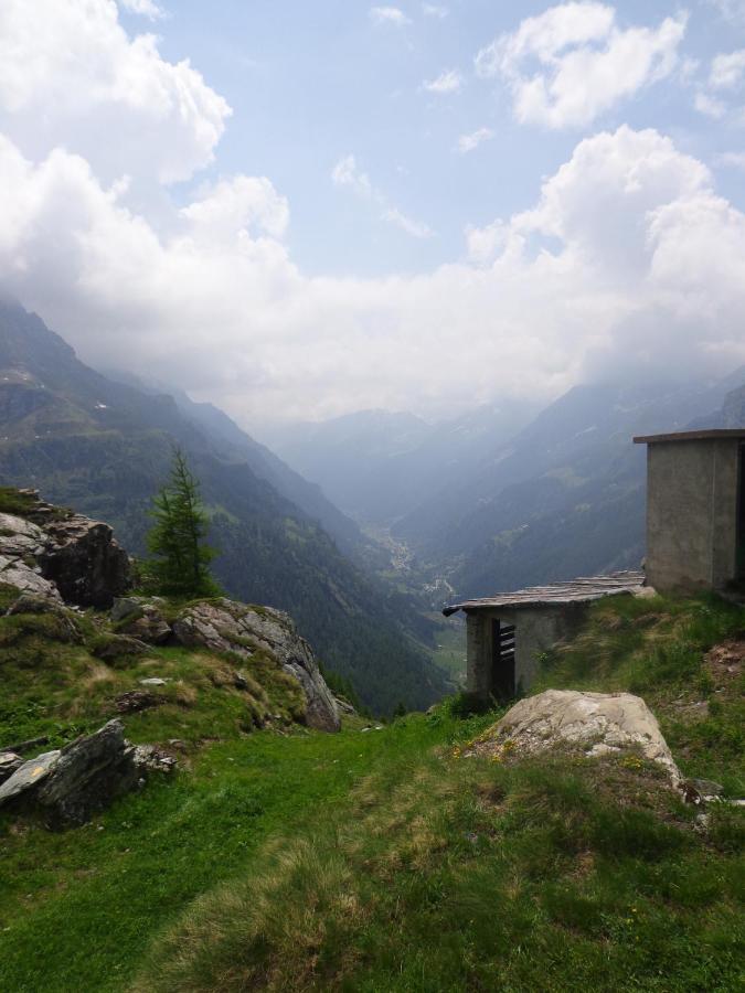 Albergo Alpenrose Ski&Bike Mountain Hotel Gressoney-Saint-Jean Luaran gambar